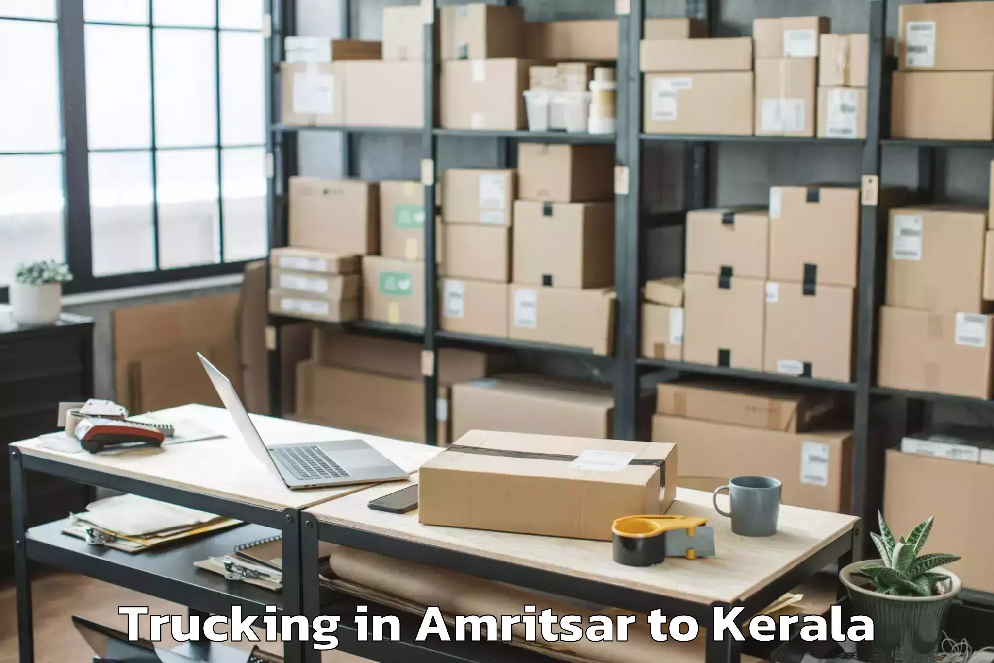 Leading Amritsar to Karunagappally Trucking Provider